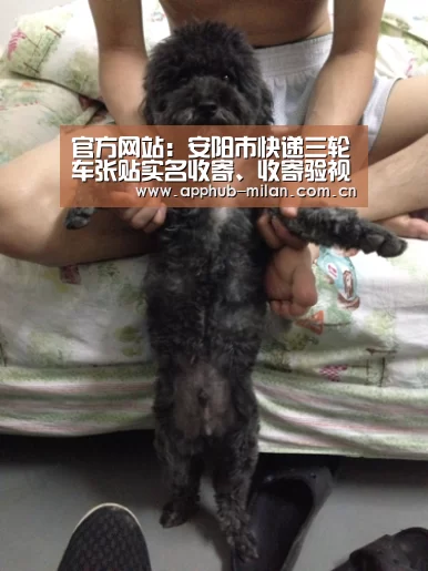 官方网站:安阳市快递三轮车张贴实名收寄、收寄验视标识(图1) 米兰体育入口