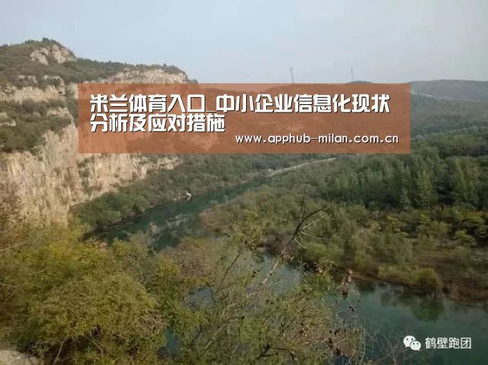 米兰体育入口_中小企业信息化现状分析及应对措施(图1) AC米兰