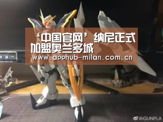 ‘中国官网’纳尼正式加盟奥兰多城(图4) 米兰体育入口