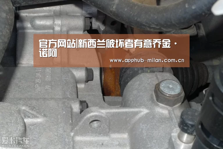 官方网站|新西兰破坏者有意乔金·诺阿(图1) AC米兰