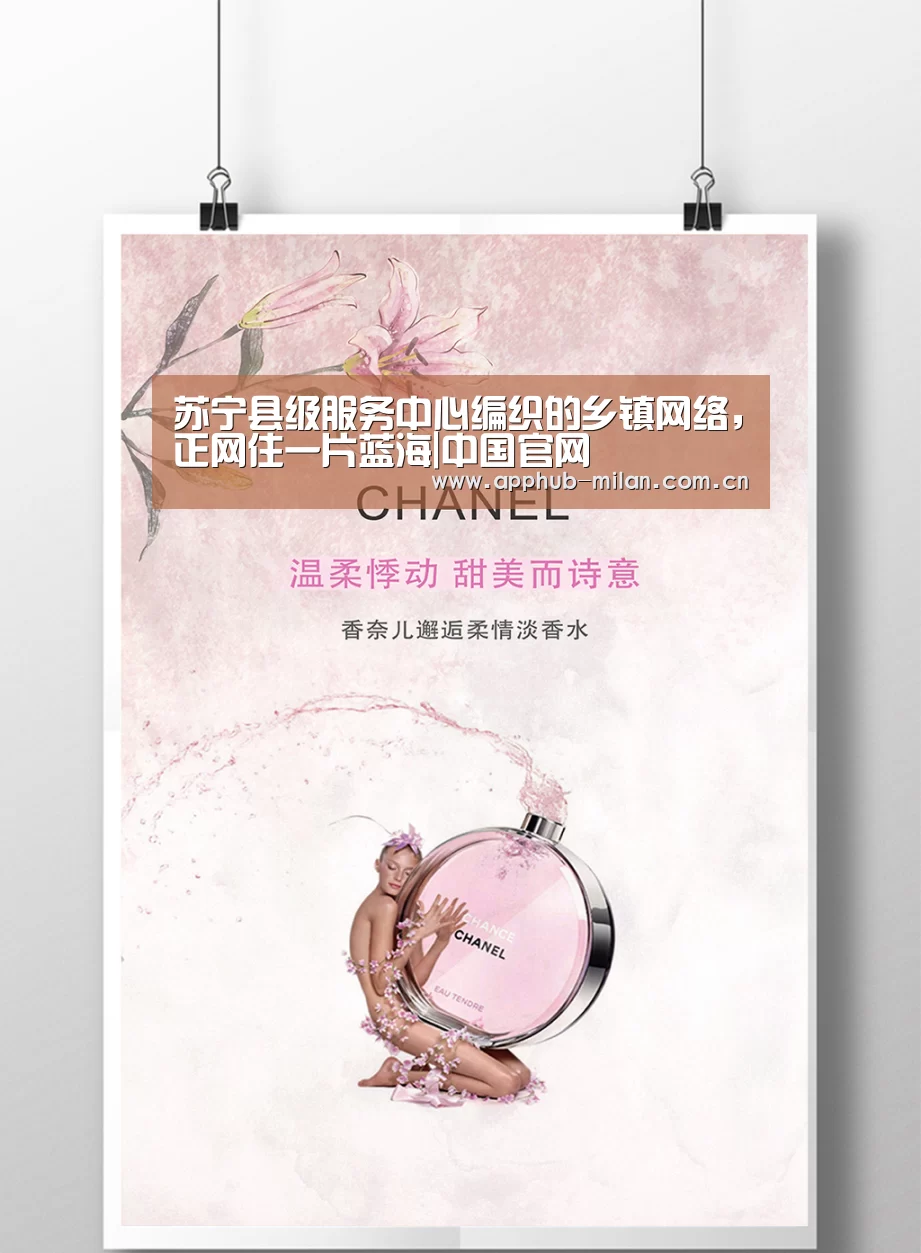 苏宁县级服务中心编织的乡镇网络,正网住一片蓝海|中国官网(图2) 中国官网